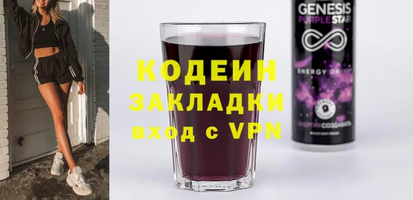 шишки Осташков