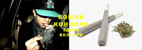 шишки Осташков