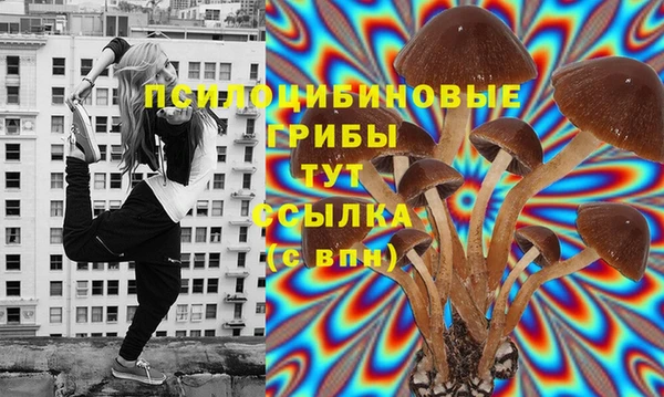 дурь Осинники