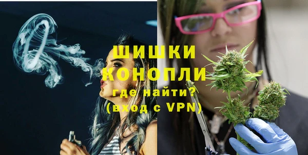дурь Осинники