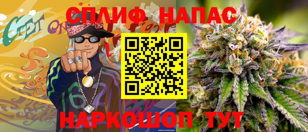 Конопля гибрид Чистополь